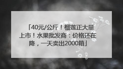 40元/公斤！榴莲正大量上市！水果批发商：价格还在降，一天卖出2000箱
