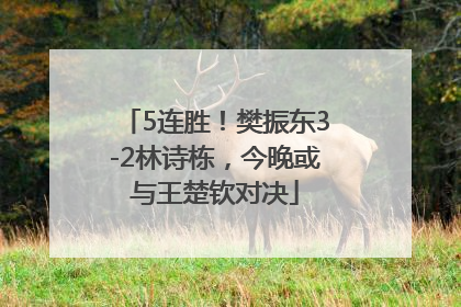 5连胜！樊振东3-2林诗栋，今晚或与王楚钦对决