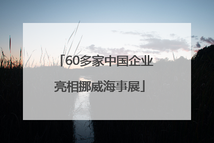 60多家中国企业亮相挪威海事展