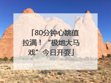 80分钟心跳值拉满！“极地大马戏”今日开耍
