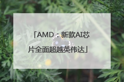 AMD：新款AI芯片全面超越英伟达
