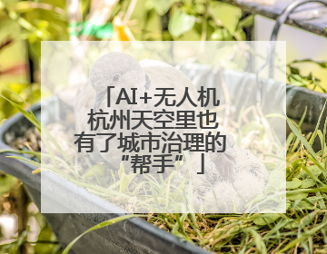 AI+无人机 杭州天空里也有了城市治理的“帮手”