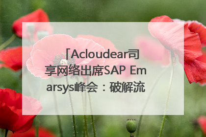 Acloudear司享网络出席SAP Emarsys峰会：破解流量困局，驱动精准增长