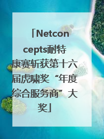 Netconcepts耐特康赛斩获第十六届虎啸奖“年度综合服务商”大奖