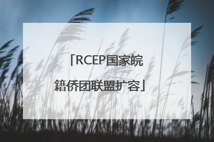 RCEP国家皖籍侨团联盟扩容