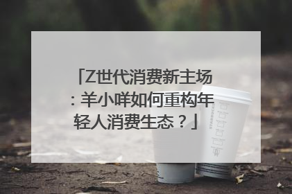 Z世代消费新主场：羊小咩如何重构年轻人消费生态？